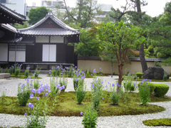 廬山天台講寺(廬山寺)
