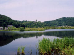深泥池