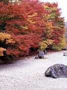 実相院