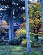三千院門跡(三千院)