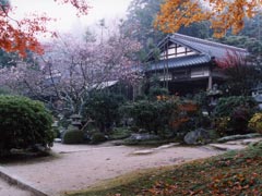 実光院