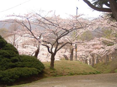 函館公園