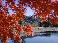 広沢池