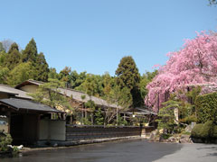 京料理筍亭