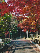 岩屋寺