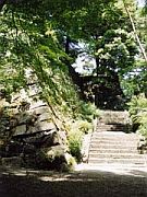 亀山城跡