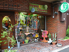 Gypsy Flower
