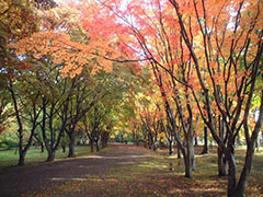見晴公園・旧岩船氏庭園(香雪園)