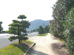 須磨海浜公園
