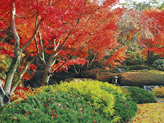 西宮市北山緑化植物園