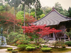 金剛寺
