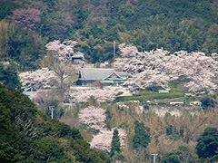 円城寺