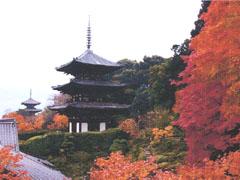 西南院