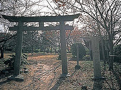 相撲神社