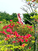神野山