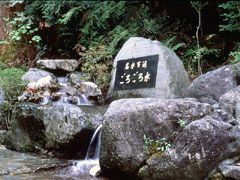ごろごろ水