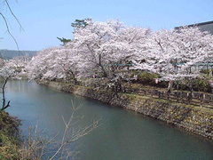 鹿野城跡公園