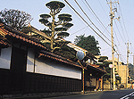 鹿野の街並み