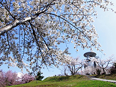 美唄市東明公園