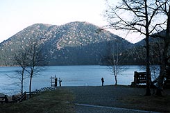 観光農園にしかみ