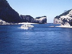 白島遊覧船