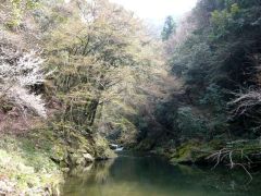 高瀬峡