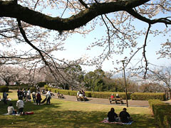 西部公園