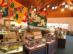 貝の資料館モラスコむぎ