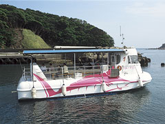 海中観光船ブルーマリン