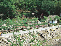 ほたる見公園