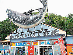 知床さいはて市場