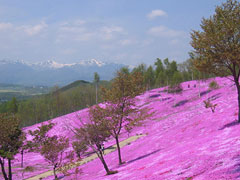 滝上公園