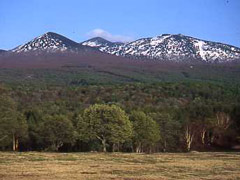 八甲田山