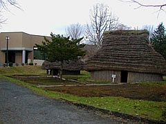 是川遺跡