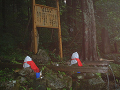 若返りの水
