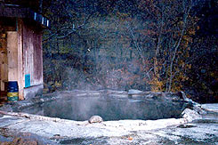 熊の湯