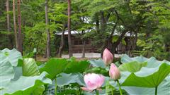 平泉