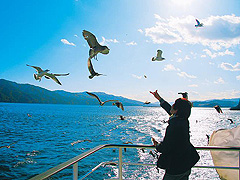 みやこ浄土ケ浜遊覧船