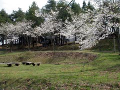 えぞと大自然のロマンの森