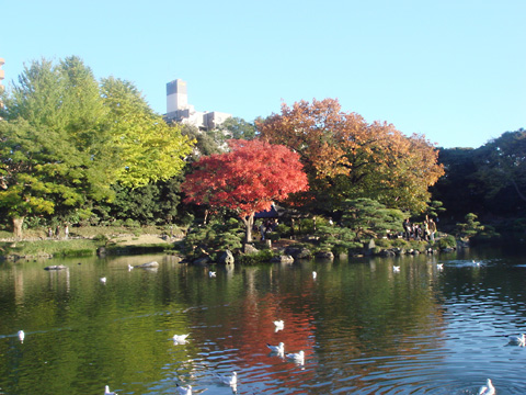 清澄庭園