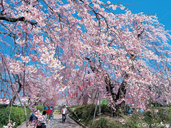 榴岡公園