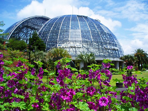 夢の島熱帯植物館