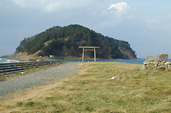 浜千鳥