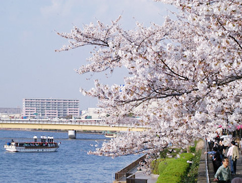 隅田公園