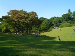 仙台市野草園