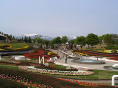 国営みちのく杜の湖畔公園
