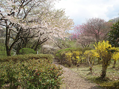 秋田市植物園