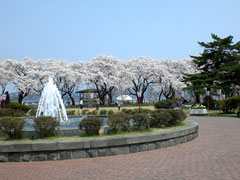桂城公園