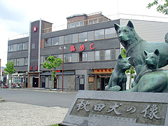 花善