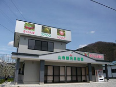 山寺観光果樹園